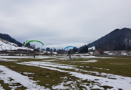 20180128 113212 (Large) (113 visits) 20180128 113212 (Large)