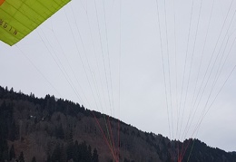 20180128 114708 (Large) (113 visits) 20180128 114708 (Large)