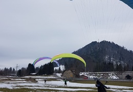 20180128 120818 (Large) (118 visits) 20180128 120818 (Large)