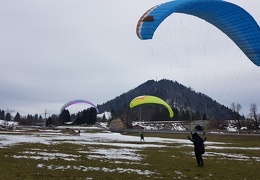 20180128 120822 (Large) (110 visits) 20180128 120822 (Large)