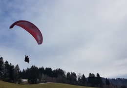 20180128 131039 (Large) (112 visits) 20180128 131039 (Large)