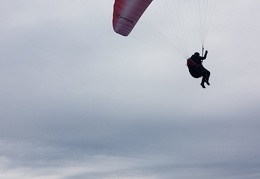 20180128 131043 (Large) (121 visits) 20180128 131043 (Large)