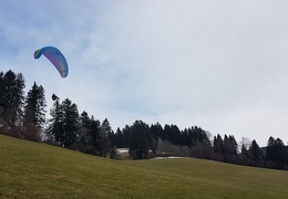 20180128 131315 (Large) (149 visits) 20180128 131315 (Large)