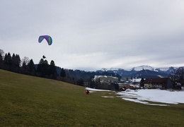 20180128 131322 (Large) (116 visits) 20180128 131322 (Large)
