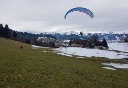 20180128 131329 (Large) (116 visits) 20180128 131329 (Large)