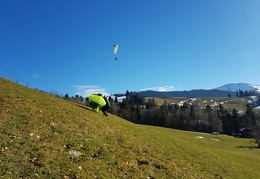20180131 131519 (164 visits) 20180131 131519