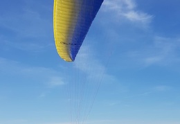 20180424 184656 (120 visits) 20180424 184656