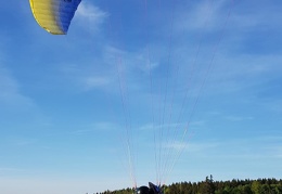20180424 184702 (115 visits) 20180424 184702