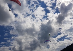 20180512 155549 (159 visits) 20180512 155549