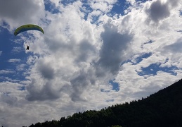 20180512 155633 (160 visits) 20180512 155633