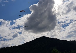 20180512 162128 (147 visits) 20180512 162128