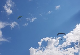 20180512 162147 (153 visits) 20180512 162147