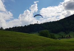 20180512 162616 (158 visits) 20180512 162616