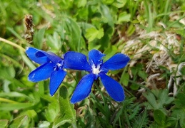20180513 105344 (219 visits) 20180513 105344
