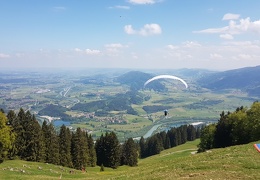 20180512 115951 (Large) (156 visits) 20180512 115951 (Large)