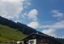 20180513 113610 (Large) (234 visits) 20180513 113610 (Large)