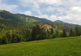 20180513 115605 (Large) (178 visits) 20180513 115605 (Large)