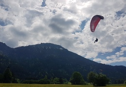 20180511 152341 (Large) (172 visits) 20180511 152341 (Large)