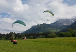 20180511 154428 (Large) (131 visits) 20180511 154428 (Large)