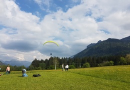 20180511 161722 (Large) (136 visits) 20180511 161722 (Large)
