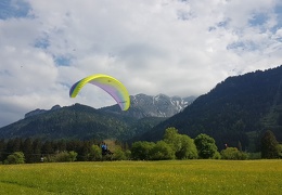 20180511 161728 (Large) (135 visits) 20180511 161728 (Large)