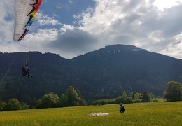 20180511 161805 (Large) (181 visits) 20180511 161805 (Large)