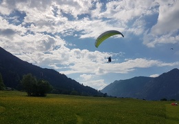 20180511 162950 (Large) (153 visits) 20180511 162950 (Large)