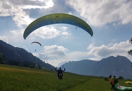 20180511 171322 (Large) (219 visits) 20180511 171322 (Large)