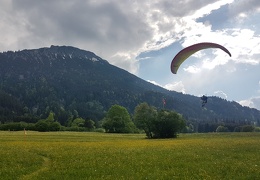 20180511 171334 (Large) (158 visits) 20180511 171334 (Large)
