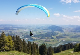 20180512 115551 (Large) (200 visits) 20180512 115551 (Large)