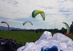 20180617 151409 (156 visits) 20180617 151409