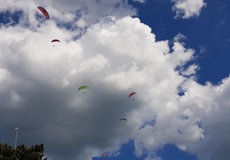 20180618 163330 (150 visits) 20180618 163330