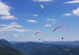 20180620 135739 (143 visits) 20180620 135739