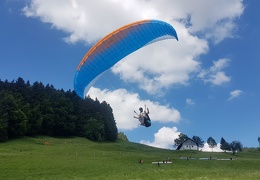 20180623 154451 (Large) (153 visits, rating score 4.87) 20180623 154451 (Large)