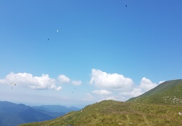 20180714 122912 (Large) (89 visits) 20180714 122912 (Large)
