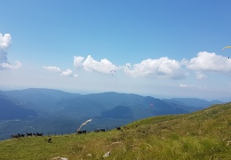 20180714 123356 (Large) (100 visits) 20180714 123356 (Large)