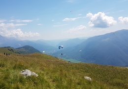 20180714 123459 (Large) (100 visits) 20180714 123459 (Large)
