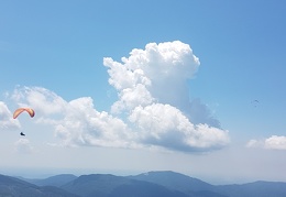 20180714 123800 (Large) (90 visits) 20180714 123800 (Large)
