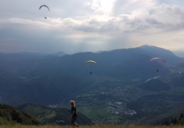 20180714 175447 (Large) (83 visits) 20180714 175447 (Large)