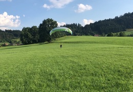 1080p V2F 2018-07-30 14-41-40 367 (287 visits) 1080p V2F 2018-07-30 14-41-40 367