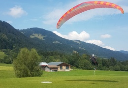 20180818 122307 (Large) (123 visits) 20180818 122307 (Large)