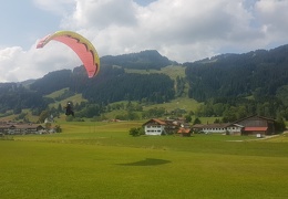 20180818 131059 (Large) (120 visits) 20180818 131059 (Large)
