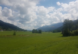 20180815 112119 (Large) (91 visits) 20180815 112119 (Large)