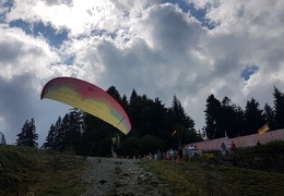 20180815 153348 (Large) (98 visits) 20180815 153348 (Large)