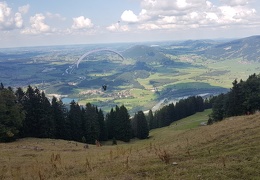 20180815 161117 (Large) (93 visits) 20180815 161117 (Large)