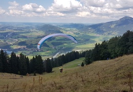 20180815 163525 (Large) (115 visits) 20180815 163525 (Large)