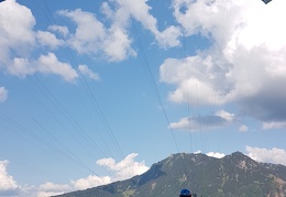 20180815 174555 (Large) (107 visits) 20180815 174555 (Large)