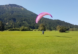 20180816 111624 (Large) (118 visits) 20180816 111624 (Large)