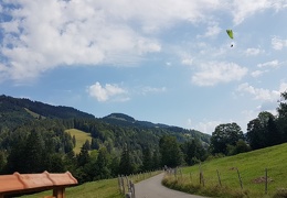 20180817 110156 (Large) (93 visits) 20180817 110156 (Large)