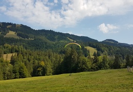 20180817 110246 (Large) (107 visits) 20180817 110246 (Large)